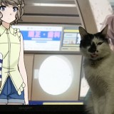 ミックス(雑種)、その他短毛種