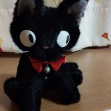 ミックス(雑種)、その他短毛種