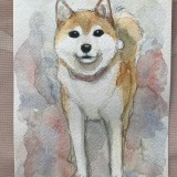 ミックス(雑種)、その他中型犬