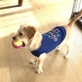 ミックス(雑種)、その他小型犬